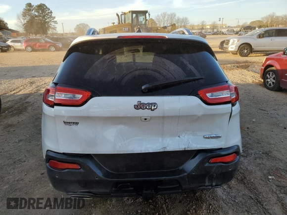 2016 Jeep Cherokee Altitude with VIN 1C4PJLCS4GW238385, listed as a Copart auction lot 48205115 with 118,908 mi miles and Salvage Title. Bid and sale history available at carsss.com. Image 6.