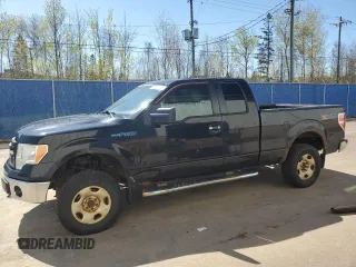 2013 Ford F-150 XL z VIN 1FTFX1EF6DFB24768, wystawiony jako Copart lot #57037085 z przebiegiem 345 691 mil mil oraz Czysty tytuł • Clean title. Historia ofert i sprzedaży dostępna na DreamBid. Obrazek 1.