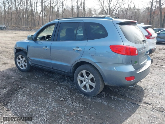 2009 Hyundai Santa Fe SE with VIN 5NMSH13E69H332648, listed as a IAAI auction lot 41948343 with 164,653 mi miles. Bid and sale history available at carsss.com. Image 3.