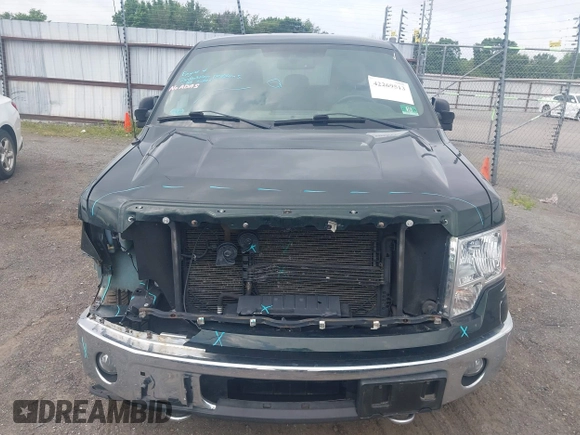 2012 Ford F-150 XL with VIN 1FTFX1ET4CFC15316, listed as a IAAI auction lot 42269513 with 145,517 mi miles and . Bid and sale history available at DreamBid. Image 6.