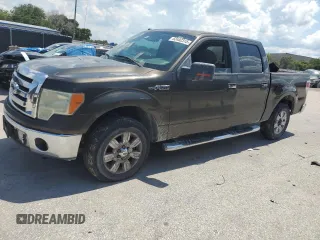 2009 Ford F-150 XL with VIN 1FTRW12889FB01747, listed as a Copart auction lot 62402315 with 332,253 mi miles and Clean title. Bid and sale history available at DreamBid. Image 1.