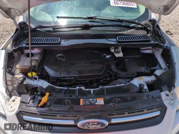 2014 Ford Escape SE with VIN 1FMCU9GX1EUE26459, listed as a Copart auction lot 60756805 with 174,945 mi miles and Salvage title. Bid and sale history available at DreamBid. Image 11.