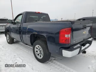 2008 Chevrolet Silverado 1500 Work Truck with VIN 1GCEC14X48Z297565, listed as a Copart auction lot 49673225 with 252,870 mi miles and Clean Title. Bid and sale history available at carsss.com. Image 2.