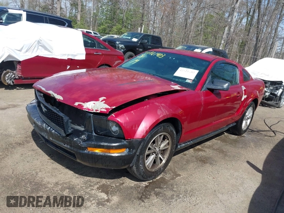 2005 Ford Mustang Deluxe with VIN 1ZVFT80NX55119984, listed as a IAAI auction lot 41921403 with 243,278 mi miles and . Bid and sale history available at DreamBid. Image 17.
