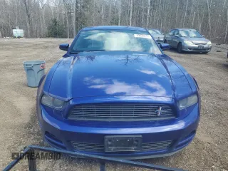 2014 Ford Mustang V6 with VIN 1ZVBP8AM9E5317478, listed as a Copart auction lot 53539755 with 305,642 mi miles and Salvage Title. Bid and sale history available at carsss.com. Image 5.