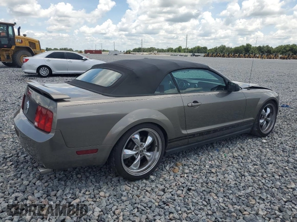 2005 Ford Mustang Deluxe with VIN 1ZVFT84N555215001, listed as a Copart auction lot 61993435 with 85,407 mi miles and Salvage title. Bid and sale history available at DreamBid. Image 3.