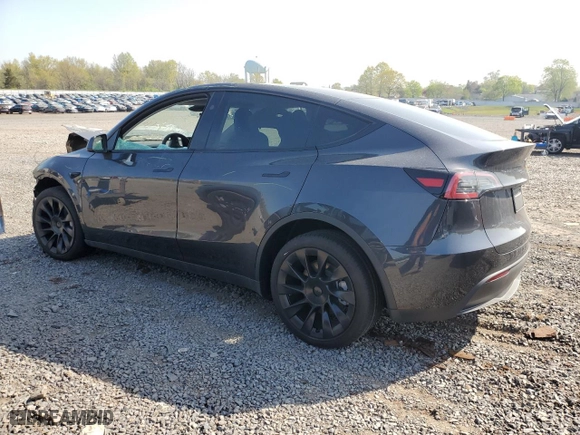 2024 Tesla Model Y with VIN 7SAYGDED3RF160506, listed as a Copart auction lot 53948515 with 0 mi miles and Non Repairable. Bid and sale history available at carsss.com. Image 2.