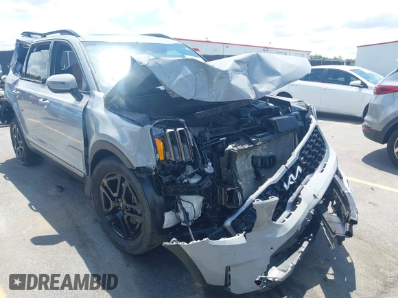 2023 Kia Telluride SX X-Pro with VIN 5XYP5DGC0PG370652, listed as a IAAI auction lot 42226690 with 30,669 mi miles and . Bid and sale history available at DreamBid. Image 6.