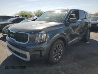 2024 Kia Telluride LX z VIN 5XYP24GC9RG482751, wystawiony jako Copart lot #52924035 z przebiegiem 35 366 mil mil oraz Szkoda całkowita • Salvage title. Historia ofert i sprzedaży dostępna na DreamBid. Obrazek 1.