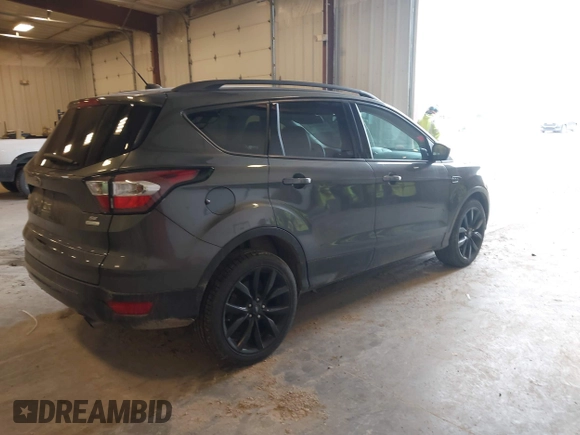 2017 Ford Escape SE with VIN 1FMCU0GD1HUC33119, listed as a IAAI auction lot 41884514 with 99,537 mi miles. Bid and sale history available at carsss.com. Image 4.