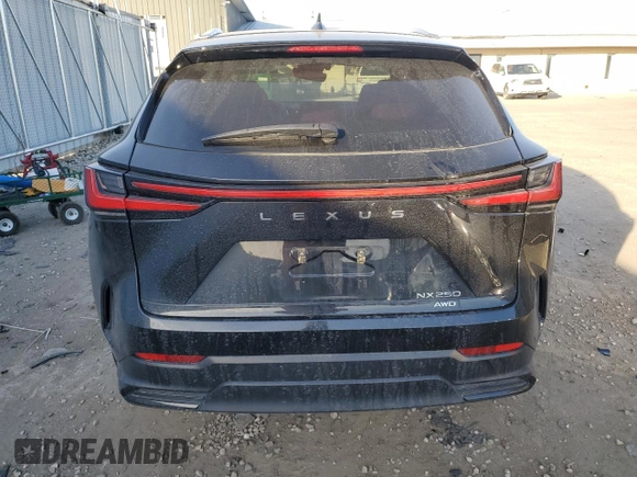 2022 Lexus NX 250 с VIN 2T2ADCEZ2NC002388, выставлен на аукционе Copart как лот 82805684 с пробегом 17 938 миль миль и Списание • Salvage title. История ставок и продаж доступна на DreamBid. Изображение 6.
