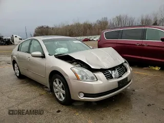 2004 Nissan Maxima SL with VIN 1N4BA41E44C893078, listed as a Copart auction lot 81782444 with Not Provided miles and Salvage Title. Bid and sale history available at DreamBid. Image 11.