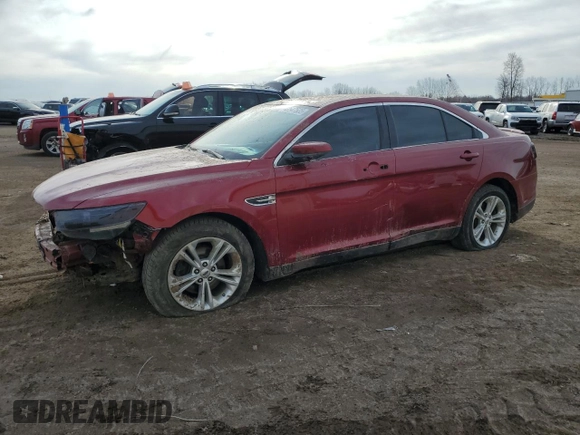 2014 Ford Taurus SEL with VIN 1FAHP2E83EG144221, listed as a Copart auction lot 49547535 with 123,574 mi miles and Clean Title. Bid and sale history available at carsss.com. Image 1.