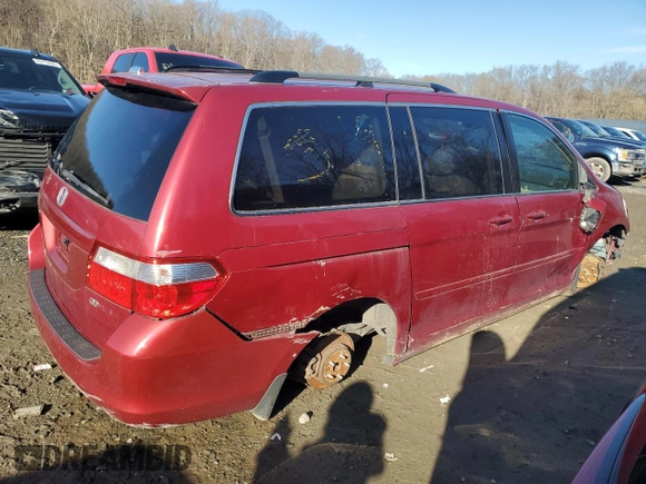 2005 Honda Odyssey EX-L with VIN 5FNRL38675B070239, listed as a Copart auction lot 49959515 with 217,089 mi miles and Salvage Title. Bid and sale history available at carsss.com. Image 3.