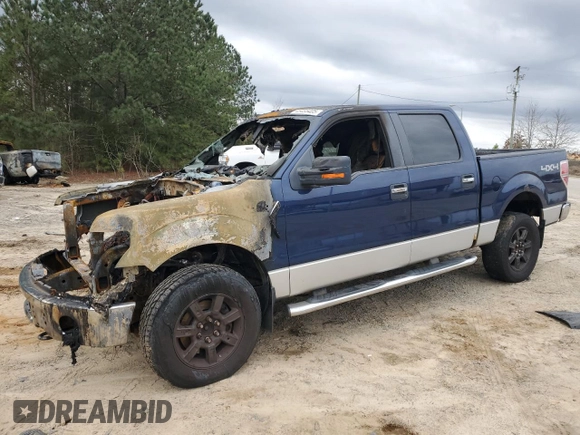 2010 Ford F-150 XL with VIN 1FTFW1EV4AFD69722, listed as a Copart auction lot 45455405 with 0 mi miles and Salvage Title. Bid and sale history available at carsss.com. Image 1.