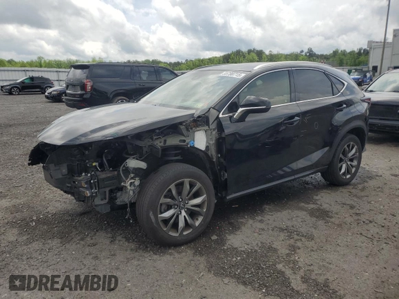 2019 Lexus NX 300 with VIN JTJYARBZ9K2145039, listed as a Copart auction lot 55788715 with 66,599 mi miles and Salvage title. Bid and sale history available at DreamBid. Image 1.