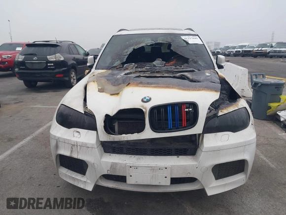 2010 BMW X5 M with VIN 5YMGY0C52ALK25509, listed as a IAAI auction lot 41227049 with 1 mi miles. Bid and sale history available at carsss.com. Image 12.