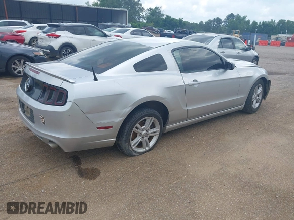 2014 Ford Mustang V6 с VIN 1ZVBP8AMXE5297192, выставлен на аукционе IAAI как лот 42231701 с пробегом Не указан миль и . История ставок и продаж доступна на DreamBid. Изображение 4.
