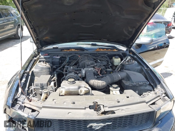 2007 Ford Mustang Deluxe z VIN 1ZVFT80N675242314, wystawiony jako IAAI lot #42318323 z przebiegiem 171 017 mil mil oraz . Historia ofert i sprzedaży dostępna na DreamBid. Obrazek 10.