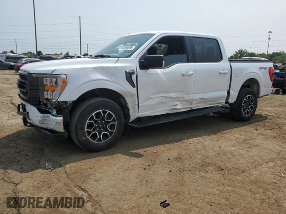 2023 Ford F-150 XL with VIN 1FTEW1EP7PFB66555, listed as a Copart auction lot 59384665 with 28,495 mi miles and Salvage title. Bid and sale history available at DreamBid. Image 1.