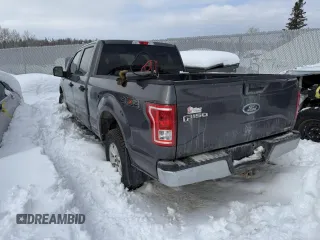 2016 Ford F-150 XLT with VIN 1FTFW1EFXGFA74075, listed as a Copart auction lot 46610525 with Not Provided miles and Salvage Title. Bid and sale history available at carsss.com. Image 2.