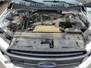 2019 Ford F-150 XL with VIN 1FTEX1CP1KFB02018, listed as a Copart auction lot 57113545 with 116,722 mi miles and Salvage title. Bid and sale history available at DreamBid. Image 11.