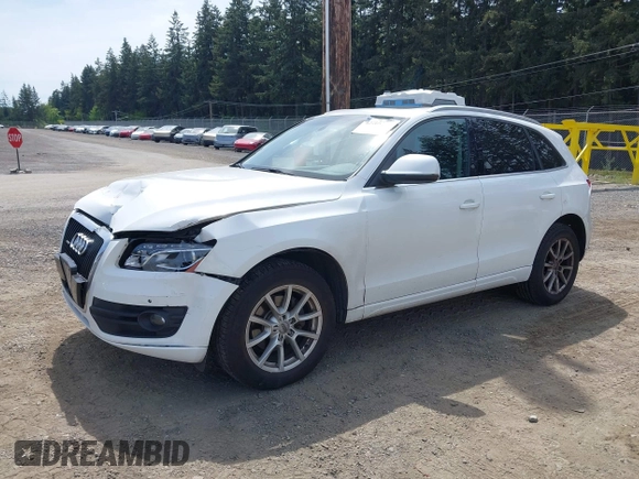 2010 Audi Q5 Premium Plus with VIN WA1LKAFP6AA057942, listed as a IAAI auction lot 42208245 with 133,064 mi miles and . Bid and sale history available at DreamBid. Image 2.