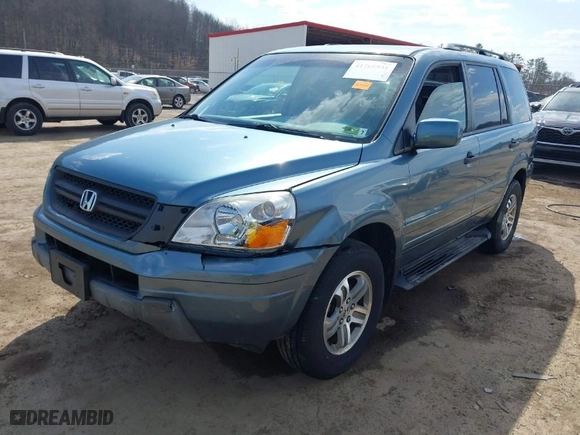2005 Honda Pilot EX with VIN 5FNYF18435B066100, listed as a IAAI auction lot 41768931 with 45,348 mi miles. Bid and sale history available at carsss.com. Image 2.