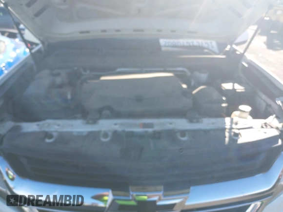 2019 Chevrolet Colorado 2WD Work Truck with VIN 1GCGSBEN0K1144041, listed as a IAAI auction lot 41668092 with 124,017 mi miles and . Bid and sale history available at DreamBid. Image 10.