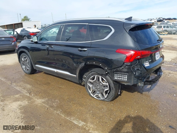 2021 Hyundai Santa Fe Limited with VIN 5NMS44AL3MH317127, listed as a IAAI auction lot 41355042 with 46,790 mi miles. Bid and sale history available at carsss.com. Image 3.