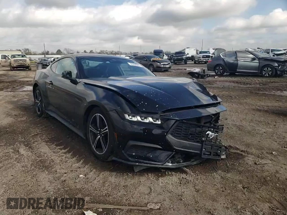 2024 Ford Mustang EcoBoost with VIN 1FA6P8TH3R5107216, listed as a Copart auction lot 43334045 with 31,659 mi miles and Salvage Title. Bid and sale history available at DreamBid. Image 11.