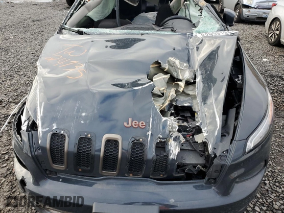 2017 Jeep Cherokee Latitude with VIN 1C4PJLCB5HW574743, listed as a Copart auction lot 82999194 with Not Provided miles and Salvage Title. Bid and sale history available at carsss.com. Image 11.