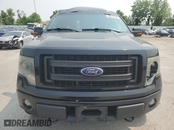 2013 Ford F-150 XL with VIN 1FTFW1EFXDKD59944, listed as a Copart auction lot 58673165 with 198,531 mi miles and Salvage title. Bid and sale history available at DreamBid. Image 5.