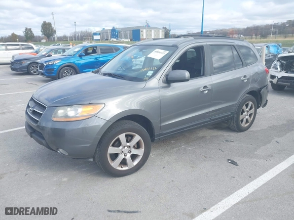 2009 Hyundai Santa Fe SE with VIN 5NMSH13E49H254693, listed as a IAAI auction lot 40894723 with 141,474 mi miles. Bid and sale history available at carsss.com. Image 2.