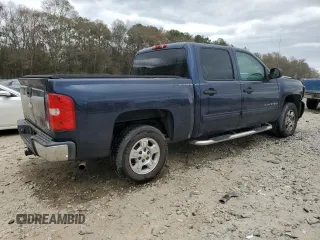 2009 Chevrolet Silverado 1500 LT with VIN 3GCEC23J19G183009, listed as a Copart auction lot 49624495 with 159,887 mi miles and Salvage Title. Bid and sale history available at carsss.com. Image 3.