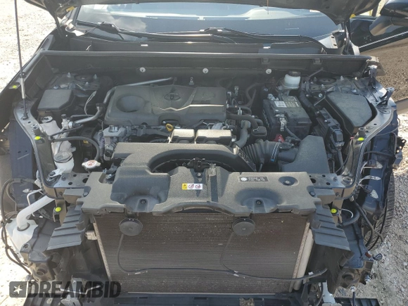 2019 Toyota RAV4 XLE with VIN JTMP1RFV7KD511381, listed as a Copart auction lot 63565625 with 95,470 mi miles and Salvage title. Bid and sale history available at DreamBid. Image 12.