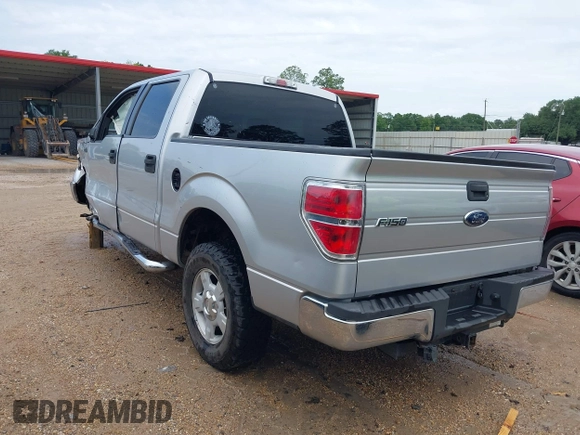 2010 Ford F-150 XL with VIN 1FTEW1C86AFB15213, listed as a IAAI auction lot 42072644 with 234,058 mi miles. Bid and sale history available at carsss.com. Image 3.