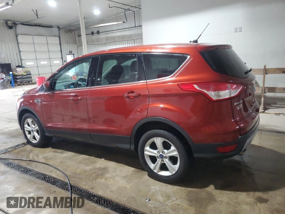 2016 Ford Escape SE with VIN 1FMCU9GX4GUA80300, listed as a Copart auction lot 52875305 with 247,537 mi miles and Salvage Title. Bid and sale history available at DreamBid. Image 2.
