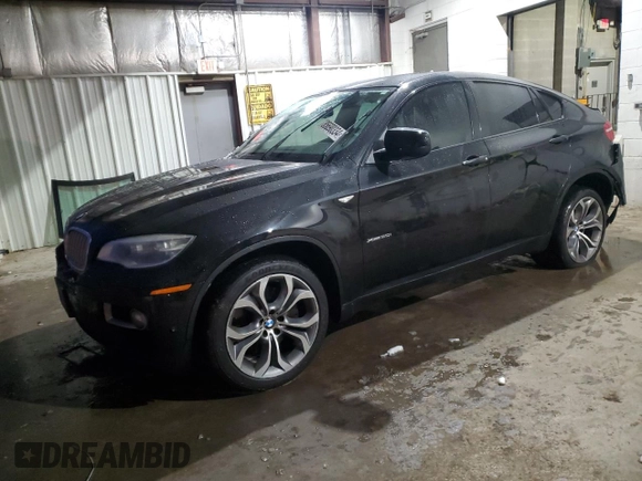 2013 BMW X6 xDrive50i with VIN 5UXFG8C52DL591320, listed as a Copart auction lot 85690334 with 0 mi miles and Salvage Title. Bid and sale history available at carsss.com. Image 1.
