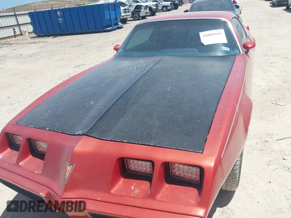 1981 Pontiac Firebird with VIN 1G2AT87W2BL105097, listed as a IAAI auction lot 42820009 with 96,007 mi miles and . Bid and sale history available at DreamBid. Image 10.