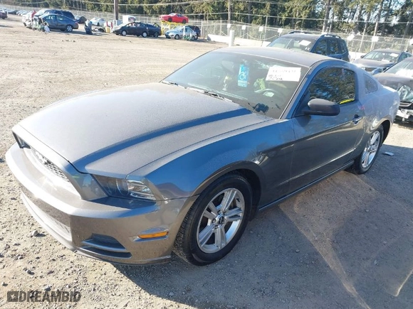 2014 Ford Mustang V6 with VIN 1ZVBP8AM3E5267564, listed as a IAAI auction lot 41559431 with 206,282 mi miles. Bid and sale history available at carsss.com. Image 2.