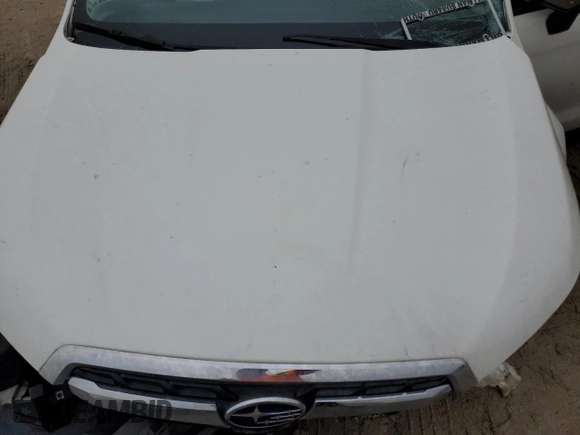 2017 Subaru Forester Premium with VIN JF2SJAGC6HH530998, listed as a Copart auction lot 41919335 with Not Provided miles and Salvage Title. Bid and sale history available at carsss.com. Image 12.