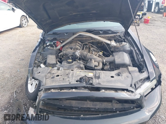 2013 Ford Mustang V6 with VIN 1ZVBP8EM7D5205089, listed as a IAAI auction lot 42418475 with 236,545 mi miles and . Bid and sale history available at DreamBid. Image 10.