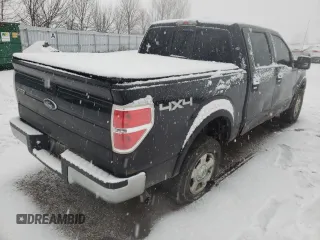 2010 Ford F-150 XL with VIN 1FTEW1E88AFC73162, listed as a Copart auction lot 67450871 with 288,009 mi miles and Clean title. Bid and sale history available at DreamBid. Image 4.