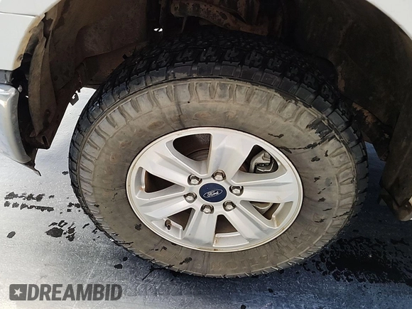 2020 Ford F-150 XL with VIN 1FTFW1E53LKF05154, listed as a IAAI auction lot 42677814 with Not provided miles and . Bid and sale history available at DreamBid. Image 13.