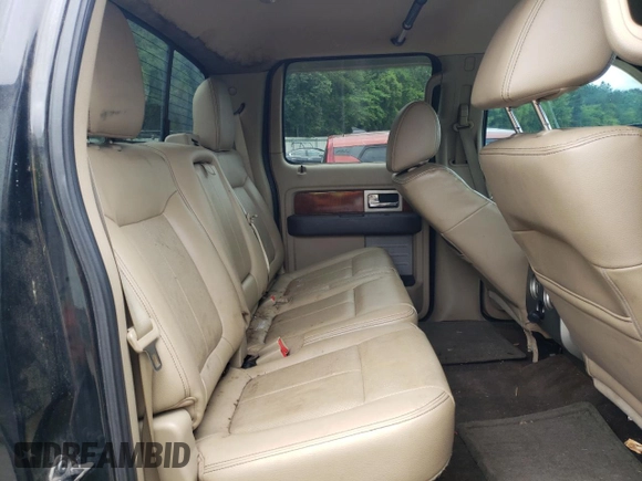 2010 Ford F-150 XL with VIN 1FTFW1EV6AFB24713, listed as a Copart auction lot 58839445 with 200,262 mi miles and Clean title. Bid and sale history available at DreamBid. Image 10.