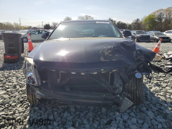 2011 Cadillac CTS Performance with VIN 1G6DJ5ED2B0153556, listed as a Copart auction lot 50429865 with Not Provided miles and Salvage Title. Bid and sale history available at DreamBid. Image 5.