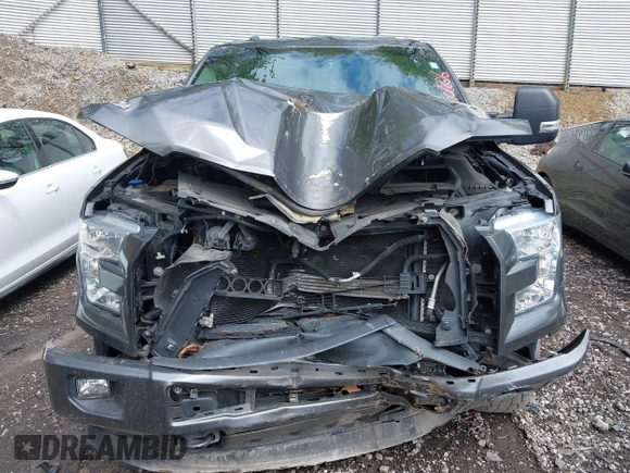 2015 Ford F-150 XLT with VIN 1FTEW1EP5FFD05421, listed as a IAAI auction lot 42206826 with 96,004 mi miles and . Bid and sale history available at DreamBid. Image 11.