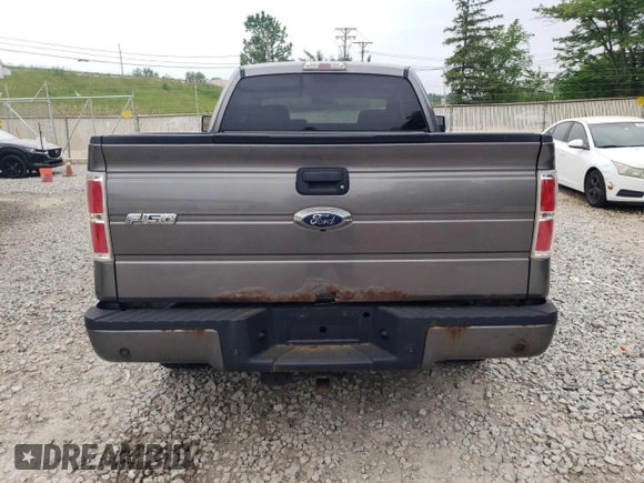 2009 Ford F-150 XL with VIN 1FTPX14V29FA00582, listed as a Copart auction lot 59819485 with 218,535 mi miles and Clean title. Bid and sale history available at DreamBid. Image 6.