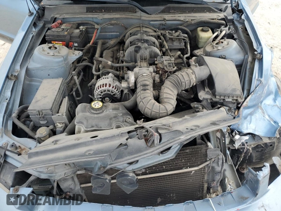 2006 Ford Mustang Standard with VIN 1ZVFT80N965176422, listed as a Copart auction lot 51189135 with 174,053 mi miles and Salvage Title. Bid and sale history available at carsss.com. Image 13.